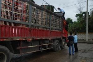 Lạng Sơn: Khởi tố 200 vụ buôn lậu, vi phạm với 293 đối tượng trong 6 tháng đầu năm
