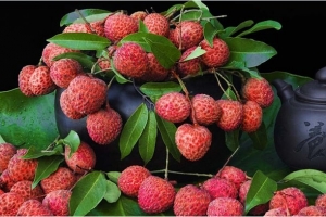 Cơ hội khẳng định thương hiệu cho 39 mặt hàng của Việt Nam được EU bảo hộ chỉ dẫn địa lý