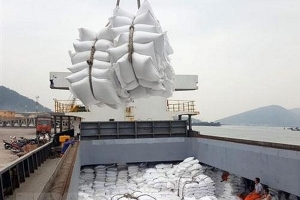 Giá gạo xuất khẩu của Việt Nam lên cao nhất 3 tuần