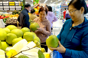 Saigon Co.op, Bách Hóa Xanh chiếm thị phần cao nhất nhóm doanh nghiệp bán lẻ trong nước