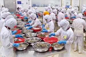 50% số dòng thuế ngành thuỷ sản được xóa bỏ ngay khi Hiệp định EVFTA có hiệu lực