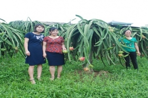 Vĩnh Phúc: Xã Tân Lập nỗ lực xây dựng nông thôn mới nâng cao
