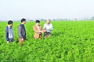 Thanh Hóa: Quyết định công nhận huyện Nga Sơn và Hoằng Hóa đạt chuẩn nông thôn mới