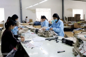 Phú Thọ: 343 doanh nghiệp thành lập mới trong 6 tháng đầu năm