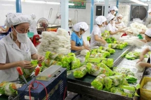 Xuất khẩu rau quả sang Thái Lan tăng cao