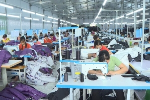 Thái Bình: Phổ biến, triển khai các văn bản về công tác khuyến công năm 2020