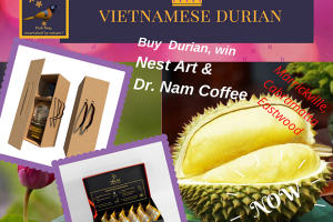 Mở rộng quảng bá và tiêu thụ sầu riêng Việt Nam tại Australia