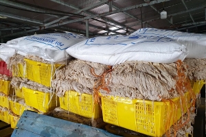 Móng Cái: Tháo dỡ cơ sở chế biến nội tạng động vật không phép