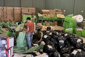 Thu hồi Giấy Chứng nhận xuất xứ cấp không đúng quy định