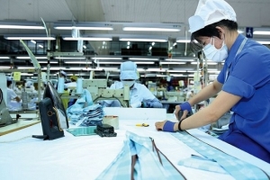 Cả nước có 75.200 doanh nghiệp thành lập mới trong 7 tháng