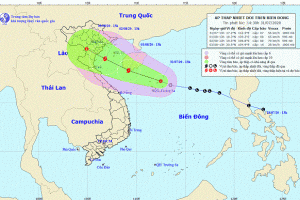 Thanh Hóa: Chủ động các giải pháp ứng phó áp thấp nhiệt đới có thể mạnh lên thành bão