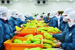 Xuất nhập khẩu hàng hóa sụt giảm, còn nhiều khó khăn trong ngắn hạn