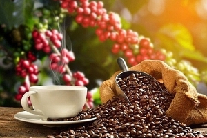 Thị trường giá nông sản 5/8: Giá tiêu đi ngang, cà phê tăng gần 1.000 đồng/kg