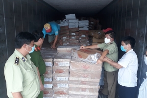 Bình Dương: Phát hiện hơn 19 tấn sản phẩm động vật đông lạnh quá hạn sử dụng, không rõ nguồn gốc xuất xứ