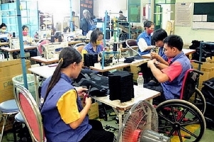 Thủ tướng phê duyệt Chương trình trợ giúp người khuyết tật giai đoạn 2021-2030