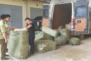 Lạng Sơn: Tạm giữ hơn 3.000 chiếc quần áo các loại nghi nhập lậu