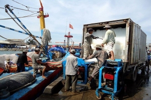 Lập các chốt kiểm tra chống COVID-19 tại các cảng cá ở Bình Định