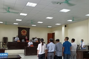 Thanh Hóa: Gian lận lúa thành hoa ly trong giải phóng mặt bằng, 5 cựu cán bộ lĩnh án
