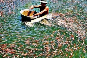 Thanh Hóa: Chú trọng phát triển nuôi trồng thủy sản theo hướng bền vững