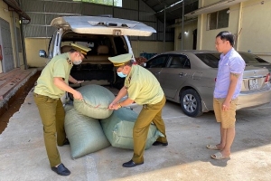 QLTT Lạng Sơn: Tiêu hủy lô hàng thuốc bắc không rõ nguồn gốc