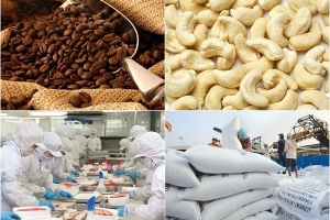 Ngành nông nghiệp xuất siêu 6,2 tỷ USD trong 8 tháng
