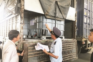 Tây Ninh: Phát hiện, xử lý 770 vụ vi phạm
