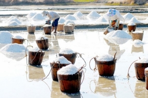 Xúc tiến thương mại, xây dựng nhãn hiệu hàng hóa cho muối xuất khẩu