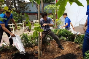 TP.HCM: Triển khai công tác đảm bảo an toàn trường học trong mùa mưa bão