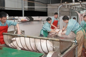 Chất lượng nâng tầm thương hiệu