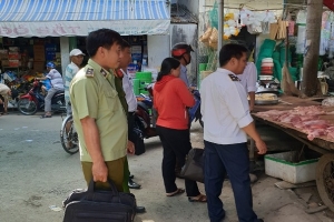 Trà Vinh: Tăng cường kiểm tra, kiểm soát, ngăn chặn hoạt động vận chuyển trái phép lợn, sản phẩm từ lợn