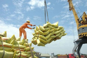 Tiềm năng xuất khẩu gạo thơm của Việt Nam còn rất lớn