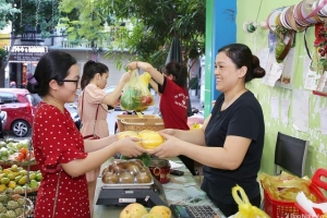 Hà Nội có hơn 800 điểm kinh doanh trái cây an toàn