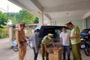 Lạng Sơn: Bắt giữ 450 túi củ cải ướp cay nhập lậu