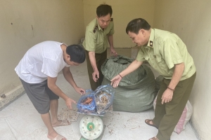 Lạng Sơn: Bắt nhiều vụ vận chuyển nguyên liệu thuốc bắc nhập lậu
