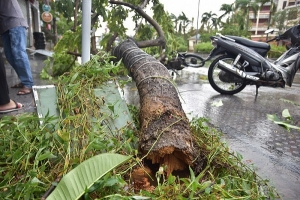 Bão số 5 đổ bộ làm một người chết, 23 người bị thương