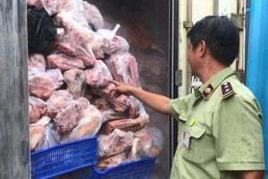 Tuyên Quang: Bắt giữ xe tải chở thịt lợn nhiễm tả lợn châu Phi đang trên đường đi tiêu thụ