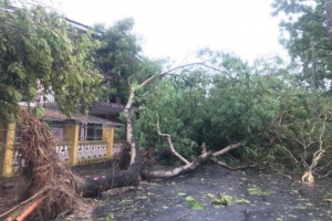 Bão số 5 làm 6 người chết, hàng trăm người bị thương