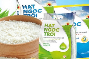 Việt Nam xuất khẩu lô gạo thơm đầu tiên sang EU