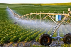 Chuyển đổi số và định hướng nông thôn mới thông minh
