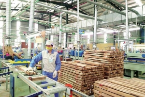 Giải pháp dài hơi cho ngành xuất khẩu gỗ và lâm sản