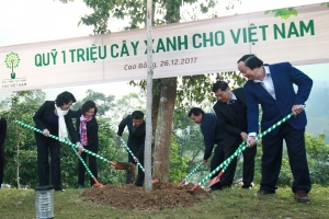 Vinamilk chung tay cùng người dân trồng cây gây rừng, góp phần tăng thu nhập cho người dân