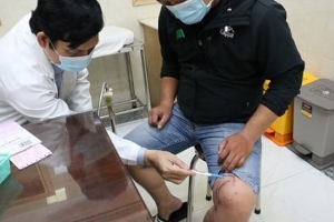 Hà Nội: Hơn 100 người nhập viện do bị kiến ba khoang tấn công
