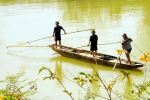 Thanh Hóa: Cấm sử dụng xung điện, chất độc, chất nổ và ngư cụ tận diệt khai thác thủy sản