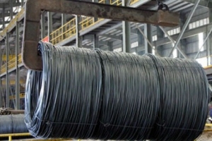 Hàng Việt đối mặt với 31 vụ kiện phòng vệ thương mại trong 9 tháng