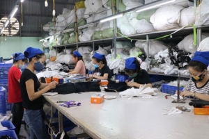 Phú Thọ: 518 doanh nghiệp thành lập mới trong 9 tháng