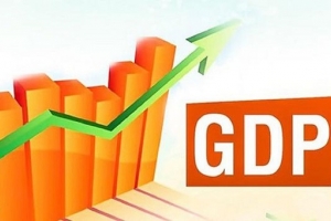 WB: Tốc độ tăng trưởng GDP của Việt Nam có thể đạt 2,5 - 3,0% năm 2020
