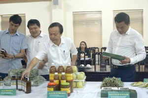 Phú Thọ: Đánh giá, phân hạng OCOP đợt II năm 2020