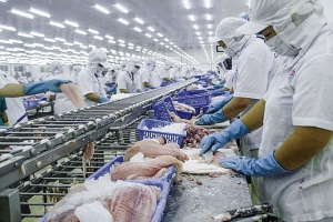 Xuất khẩu năm 2020 sẽ tăng trưởng 3-4%