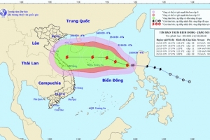 Bộ GTVT yêu cầu ứng phó với bão Saudel