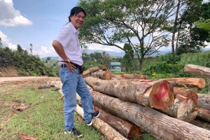 Kon Tum: Sa thải Giám đốc và 2 cán bộ bảo vệ rừng